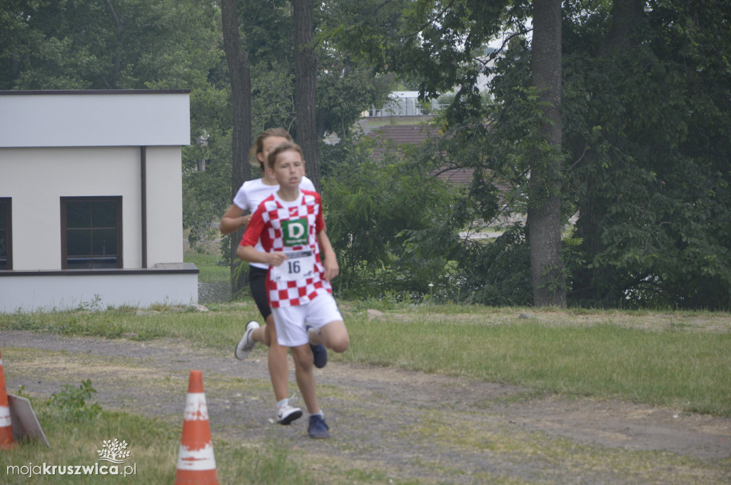 Festiwal Biegowy w Kruszwicy