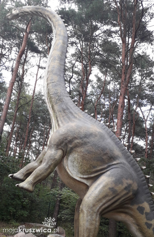 Wizyta dzieci z Chełmc w Myślęcinku