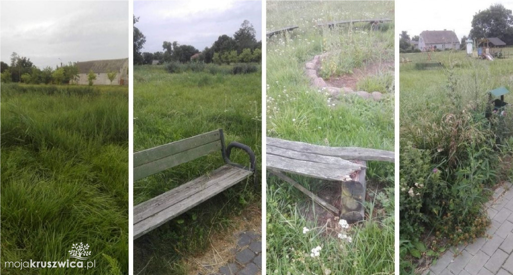  Zaniedbany plac zabaw i zarośnięte boisko w Bachorcach
