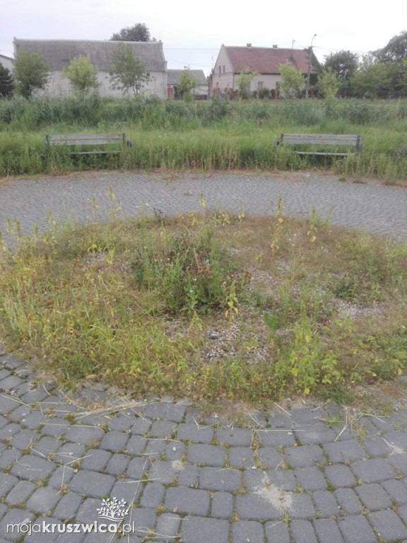  Zaniedbany plac zabaw i zarośnięte boisko w Bachorcach