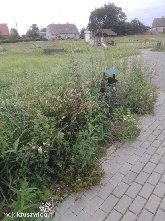  Zaniedbany plac zabaw i zarośnięte boisko w Bachorcach