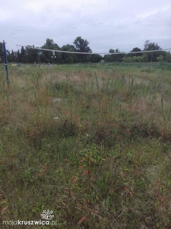  Zaniedbany plac zabaw i zarośnięte boisko w Bachorcach