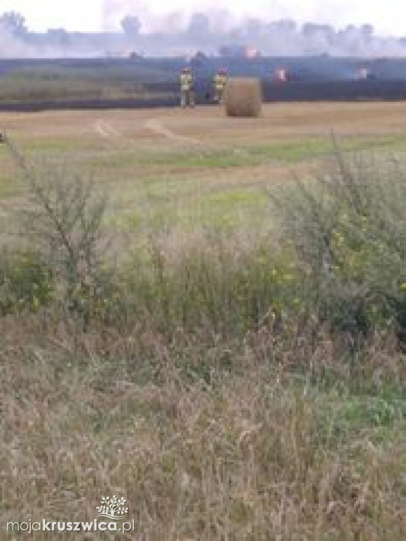 Pożar w Karczynie pod Kruszwicą. Na miejscu interweniują strażacy