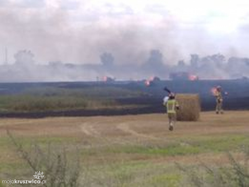 Pożar w Karczynie pod Kruszwicą. Na miejscu interweniują strażacy