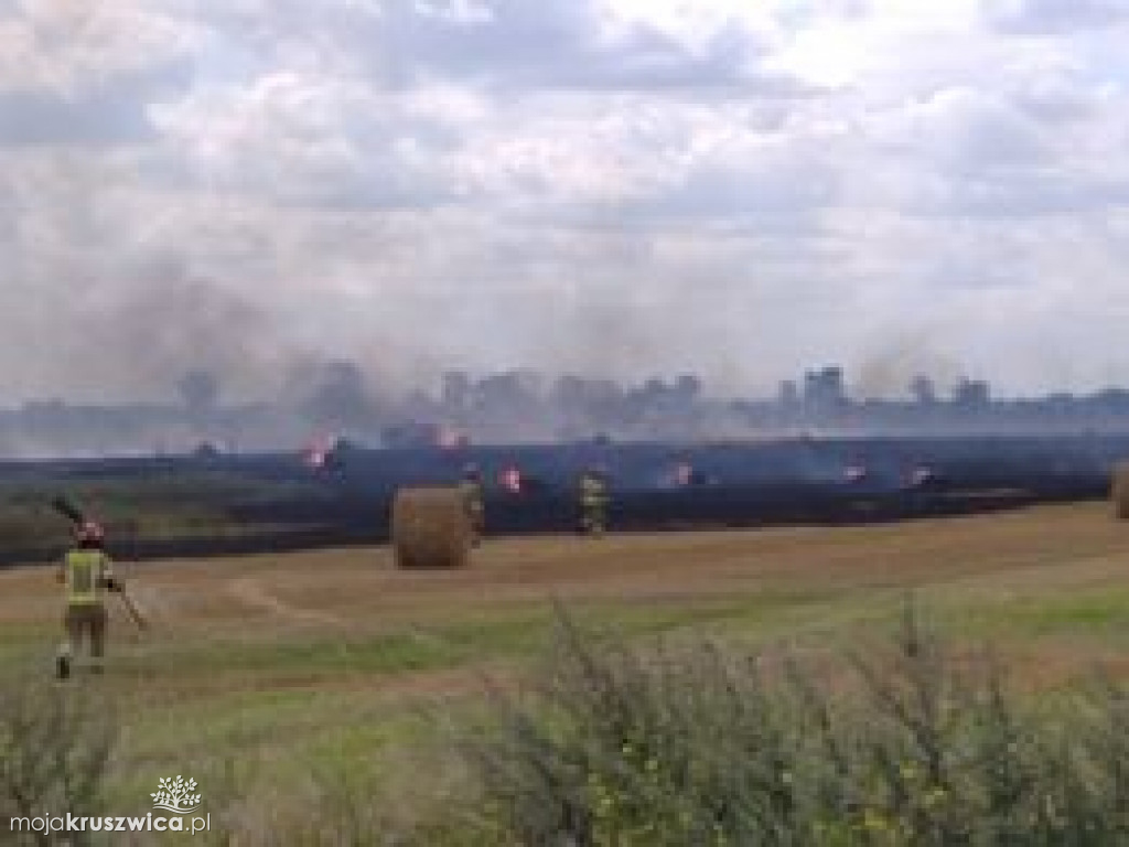Pożar w Karczynie pod Kruszwicą. Na miejscu interweniują strażacy