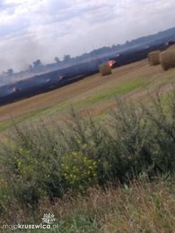 Pożar w Karczynie pod Kruszwicą. Na miejscu interweniują strażacy