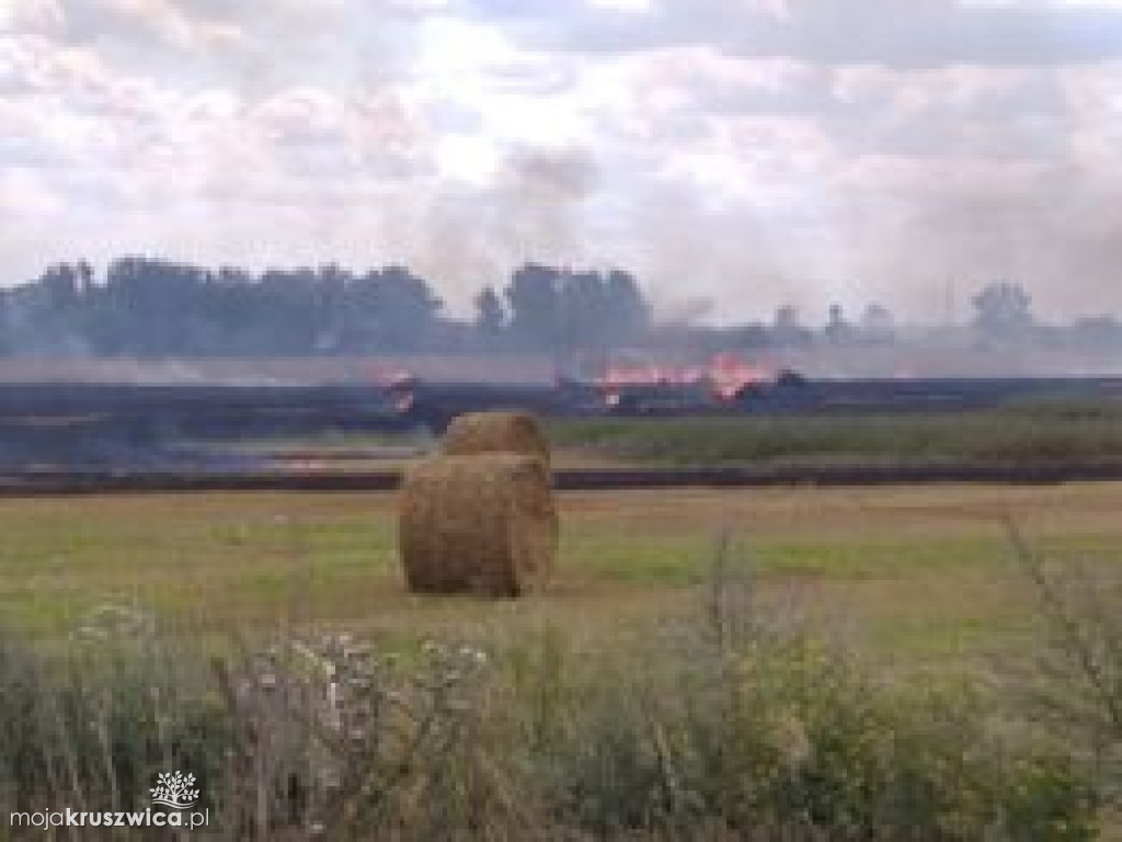 Pożar w Karczynie pod Kruszwicą. Na miejscu interweniują strażacy