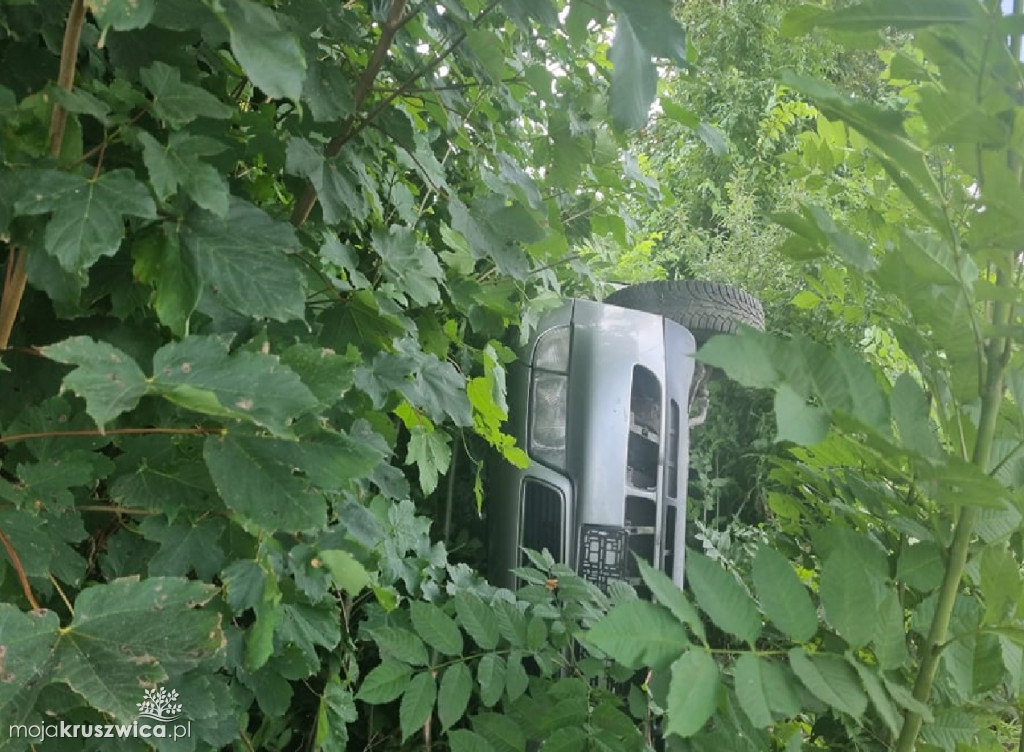 Alert internauty: Porzucone audi pod Kruszwicą [ZDJĘCIA]
