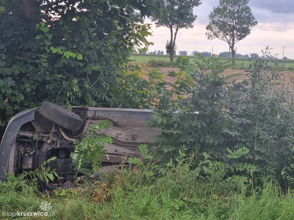 Alert internauty: Porzucone audi pod Kruszwicą [ZDJĘCIA]