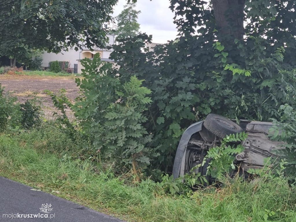 Alert internauty: Porzucone audi pod Kruszwicą [ZDJĘCIA]