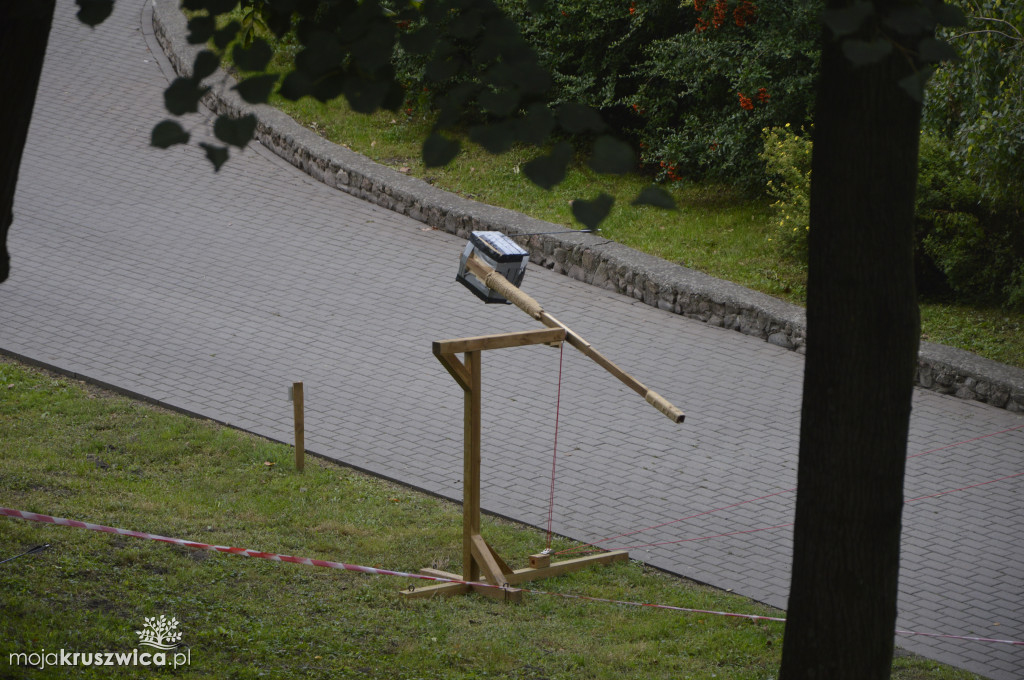 Polowanie na myszy w Kruszwicy