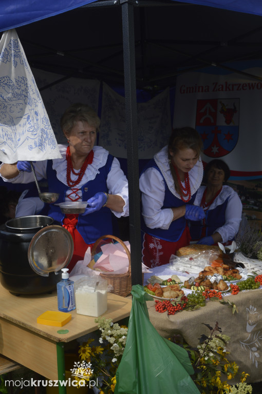 Europejskie Dni Dziedzictwa w Kruszwicy