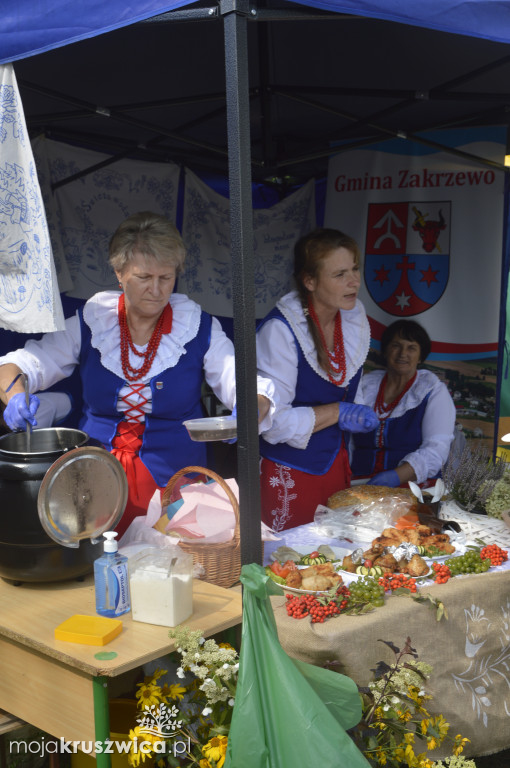 Europejskie Dni Dziedzictwa w Kruszwicy