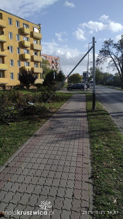 Kruszwica: Powalone drzewa i konary