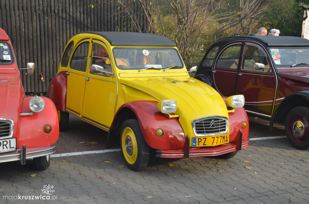 Francuska motoryzacja w Kruszwicy