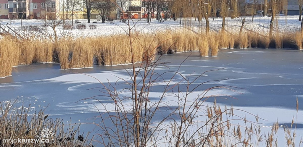 Dzielnicowi z Kruszwicy wzięli pod lupę jezioro Gopło
