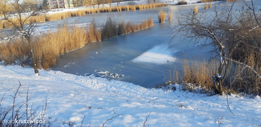 Dzielnicowi z Kruszwicy wzięli pod lupę jezioro Gopło