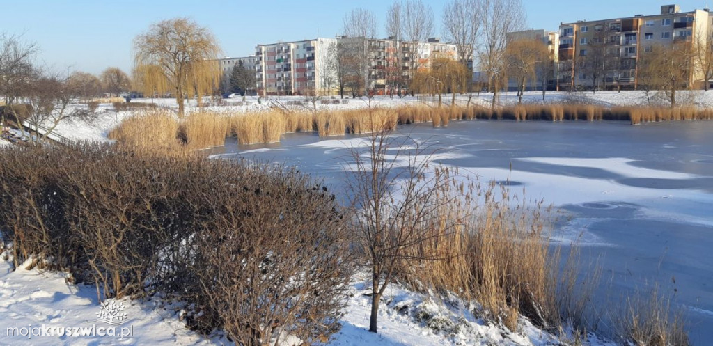 Dzielnicowi z Kruszwicy wzięli pod lupę jezioro Gopło