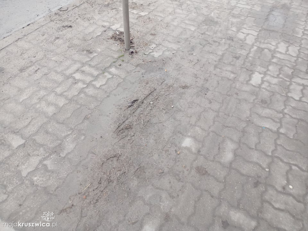 Kruszwica jest po prostu brudna. 