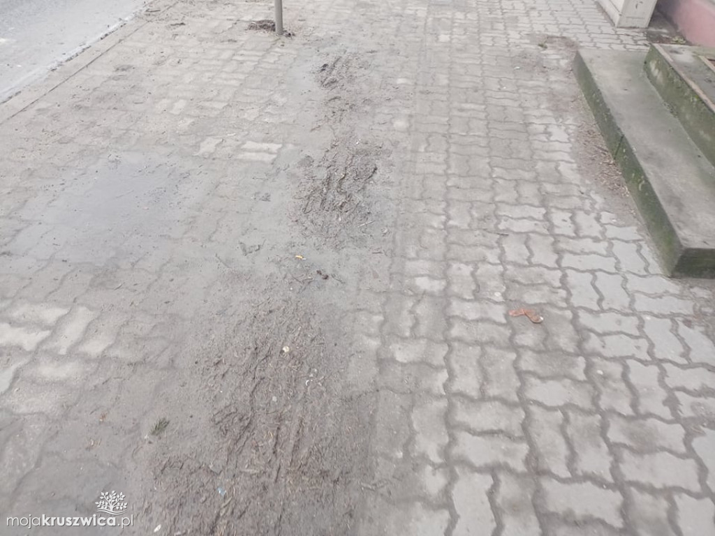 Kruszwica jest po prostu brudna. 
