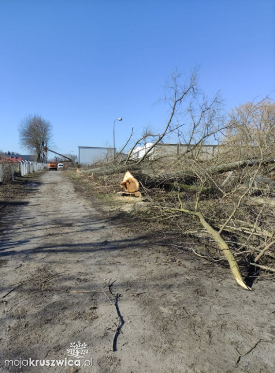 Zniknęły drzewa przy miejskim stadionie w Kruszwicy