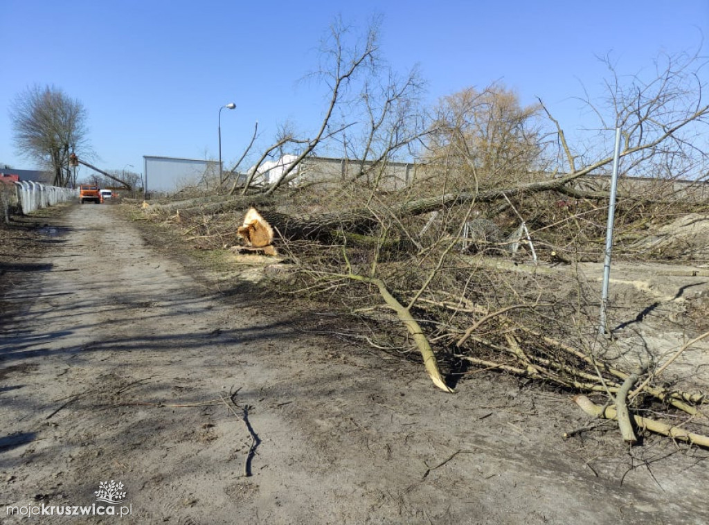Zniknęły drzewa przy miejskim stadionie w Kruszwicy