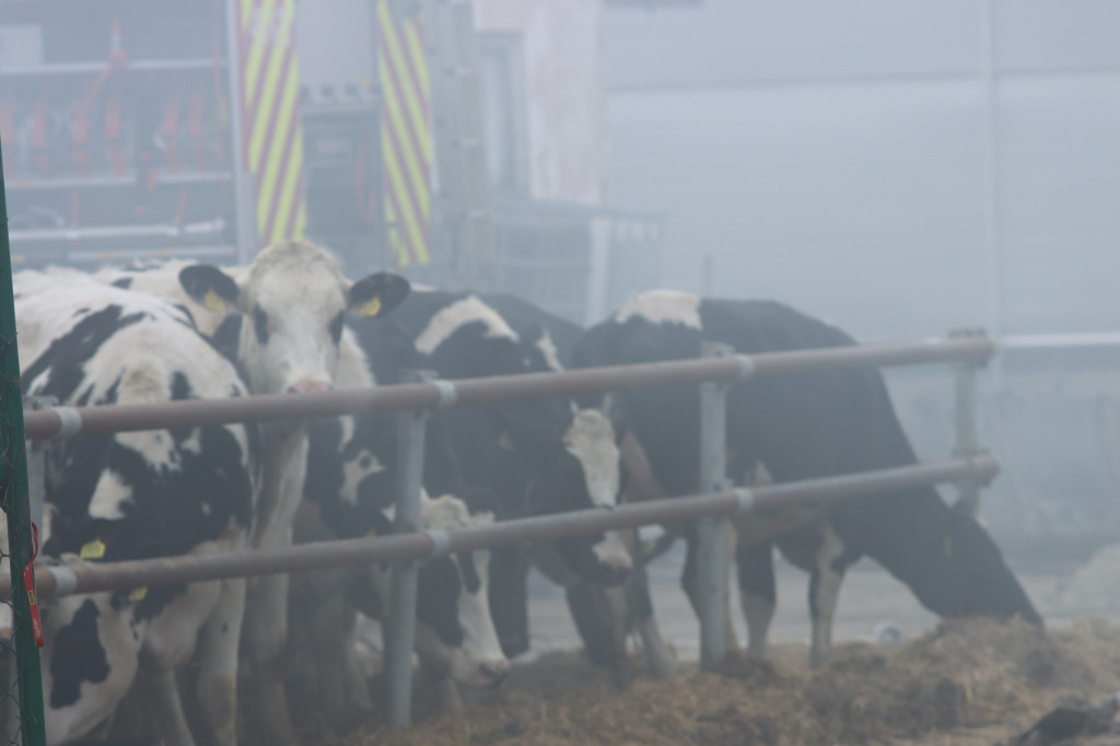 Groźny pożar w Łagiewnikach pod Kruszwicą