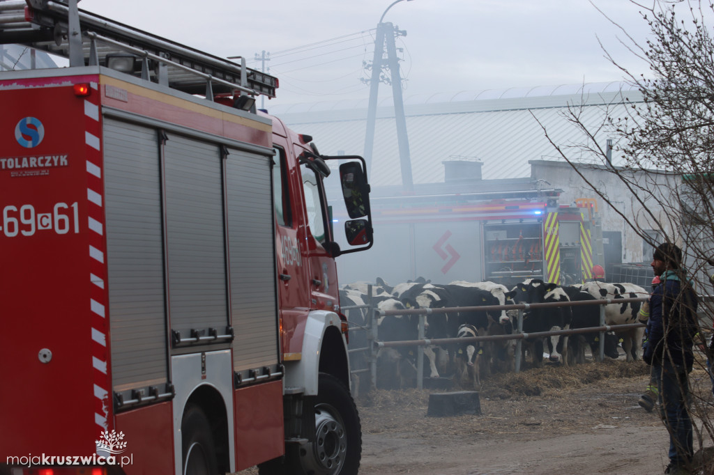 Groźny pożar w Łagiewnikach pod Kruszwicą