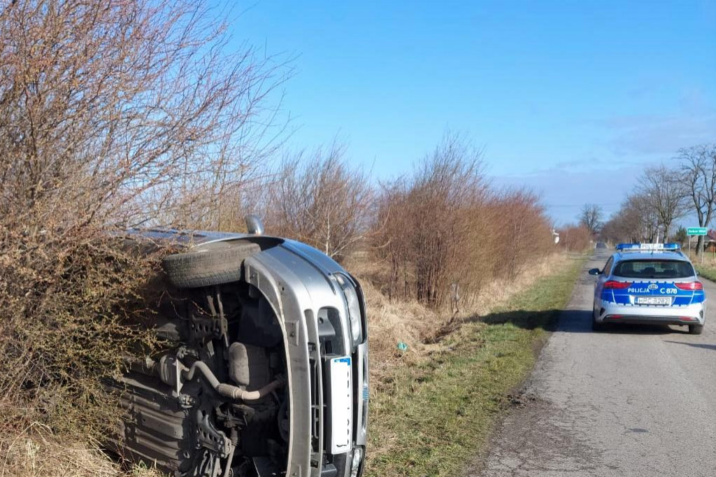 Na jezdnię wbiegła sarna. Auto dachowało