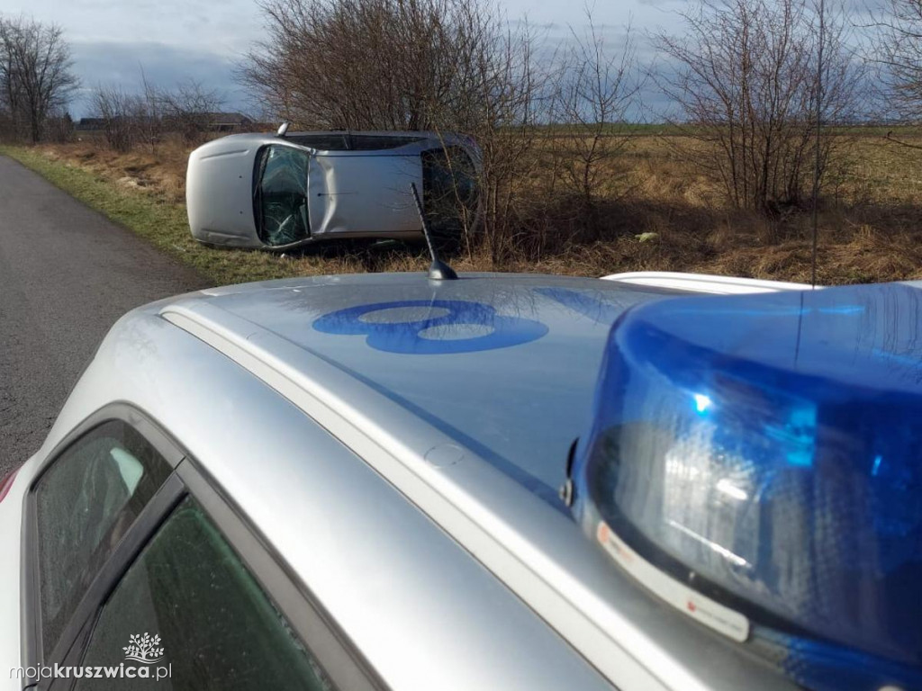 Na jezdnię wbiegła sarna. Auto dachowało