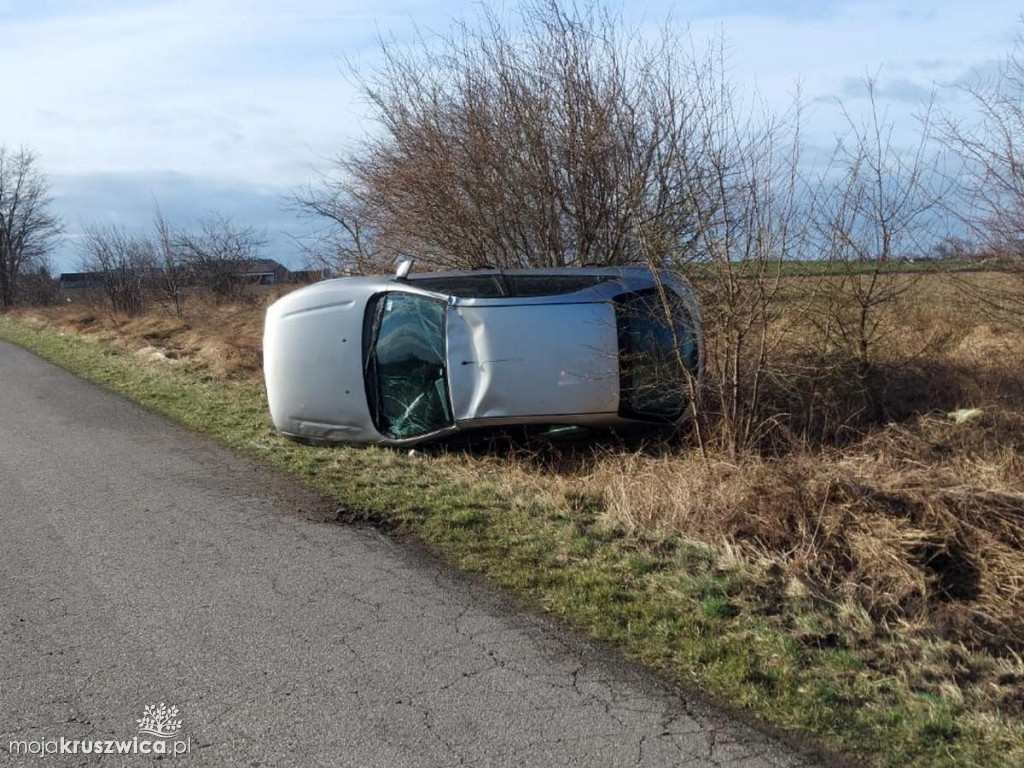 Na jezdnię wbiegła sarna. Auto dachowało