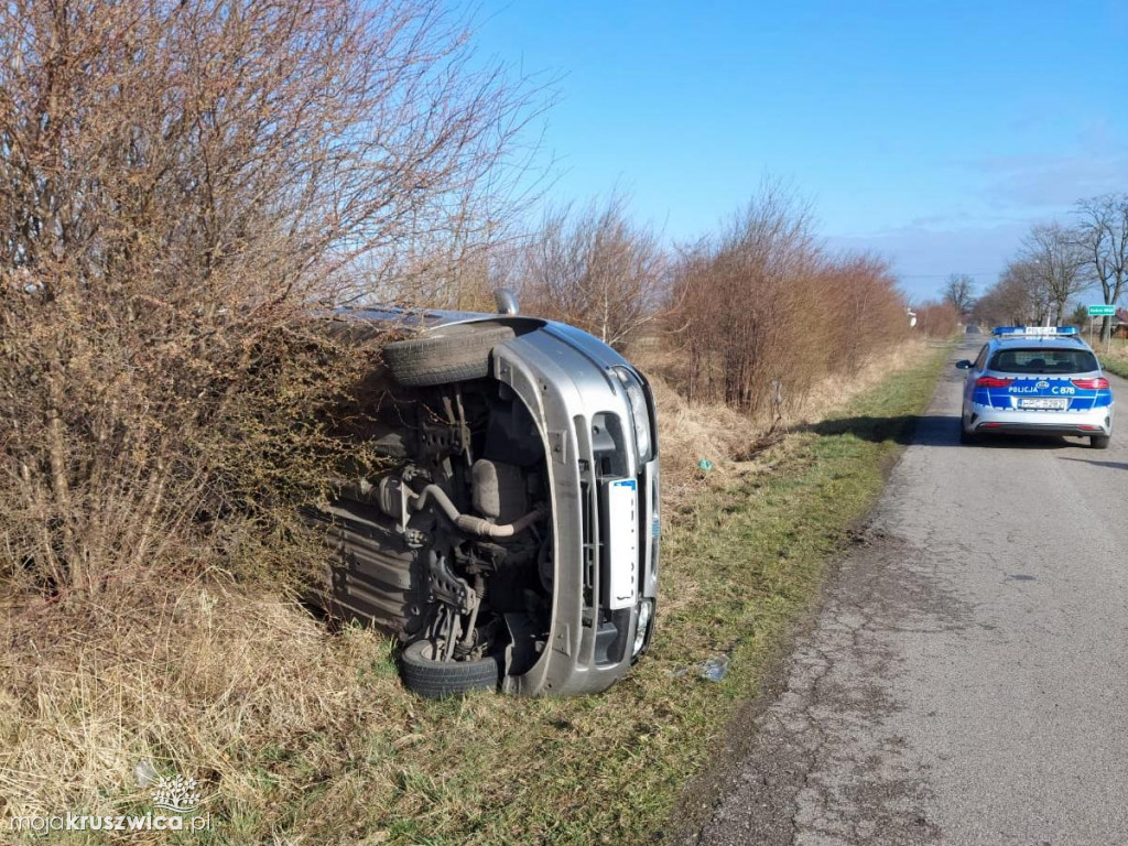 Na jezdnię wbiegła sarna. Auto dachowało