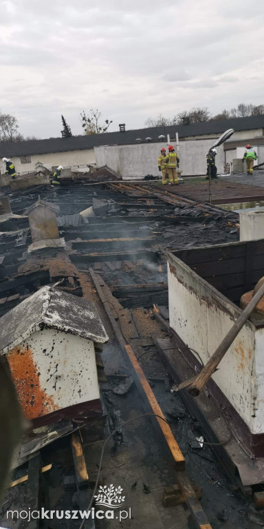Rożniaty. Tak wyglądał pożar dachu lokalnej masarni [ZDJĘCIA]