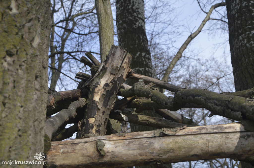 Prasłowiański Port ma szansę wypełnić turystyczną pustkę w Kruszwicy