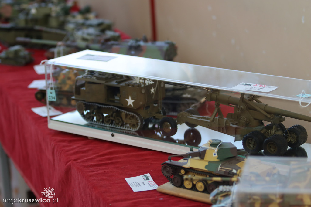 Modele kartonowe w Kruszwicy