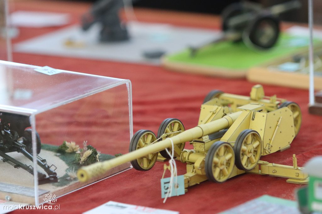 Modele kartonowe w Kruszwicy