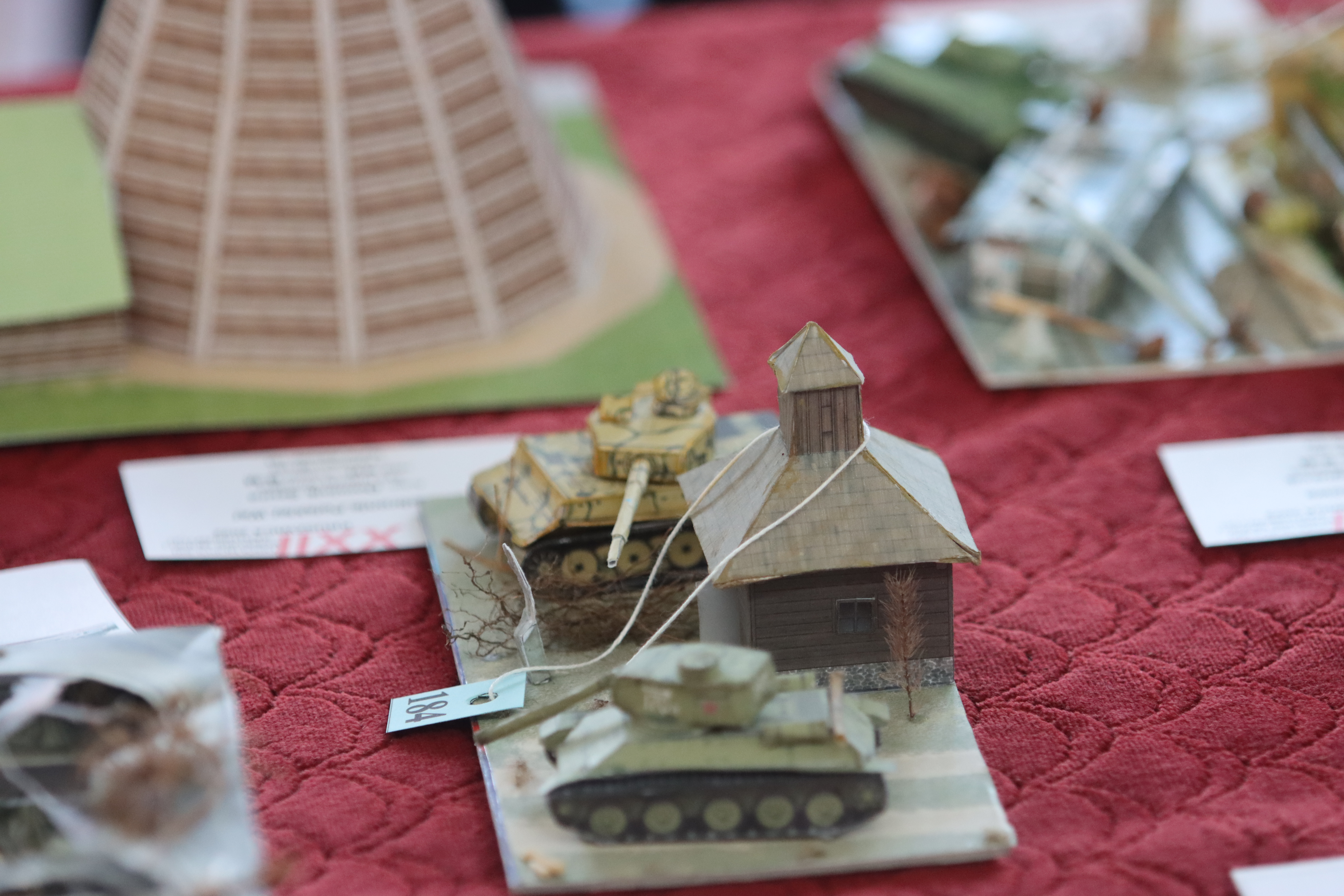 Modele kartonowe w Kruszwicy