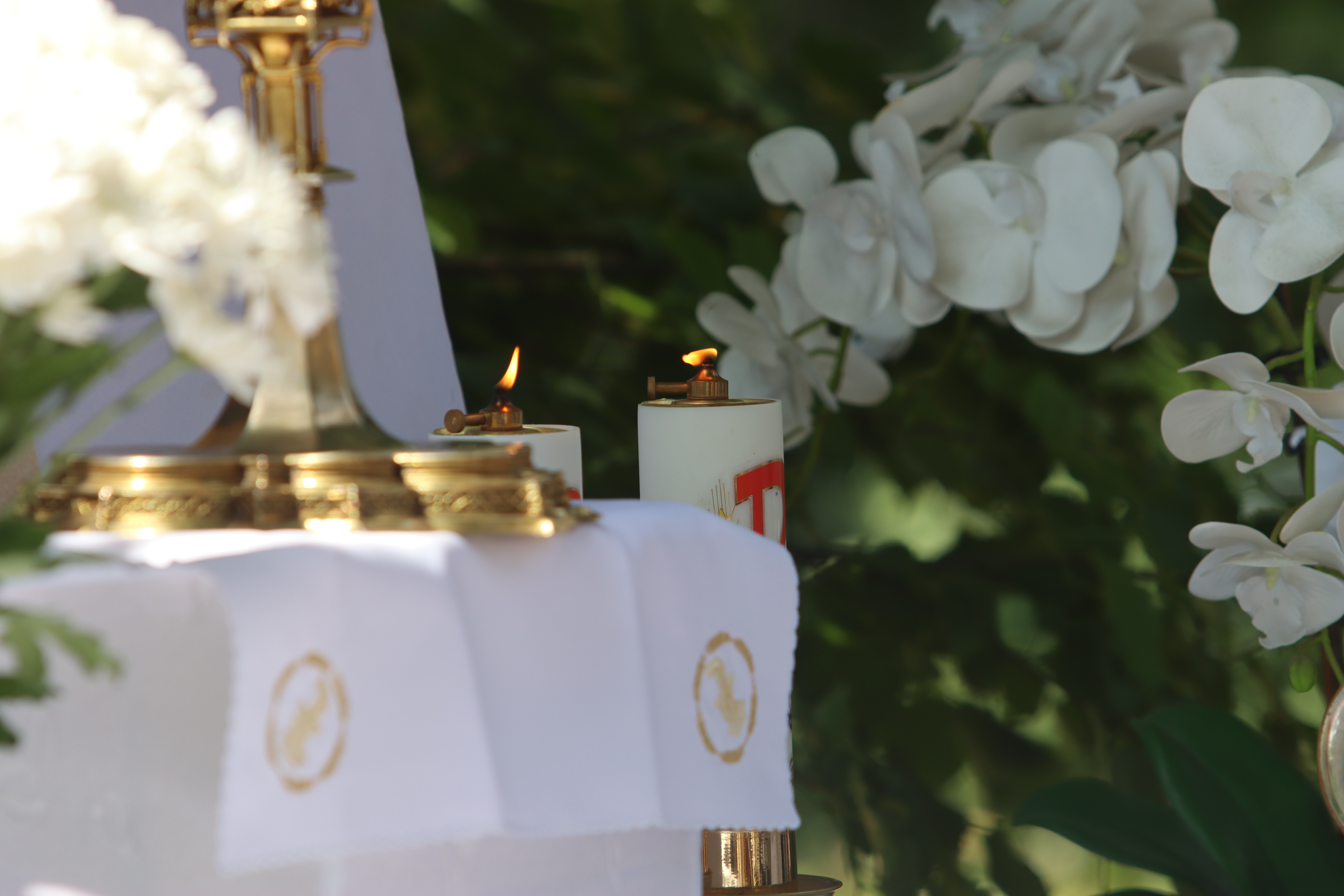 Procesja Bożego Ciała w kruszwickiej kolegiacie