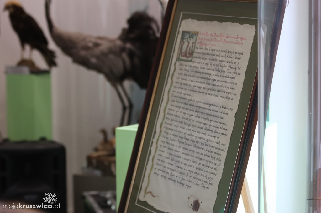 Trwa kruszwicka Noc Poetów