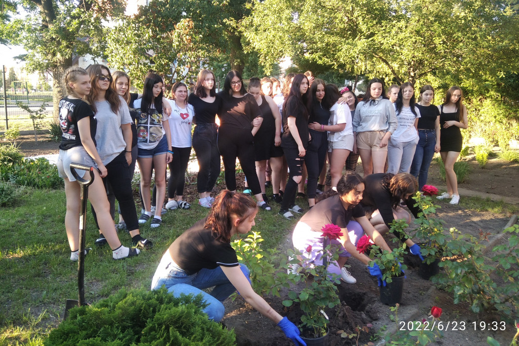 Rozarium a hortiterapia w MOW [ZDJĘCIA]