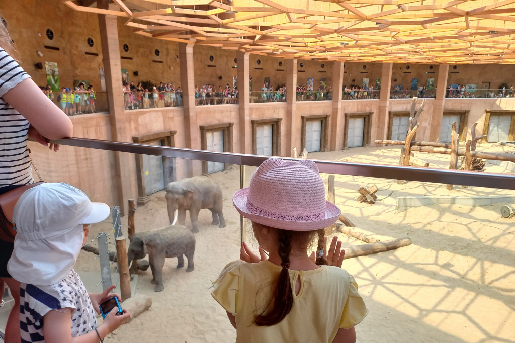 Chełmce: Dzieci wzięły udział w nietypowej wycieczce do Orientarium w Łodzi