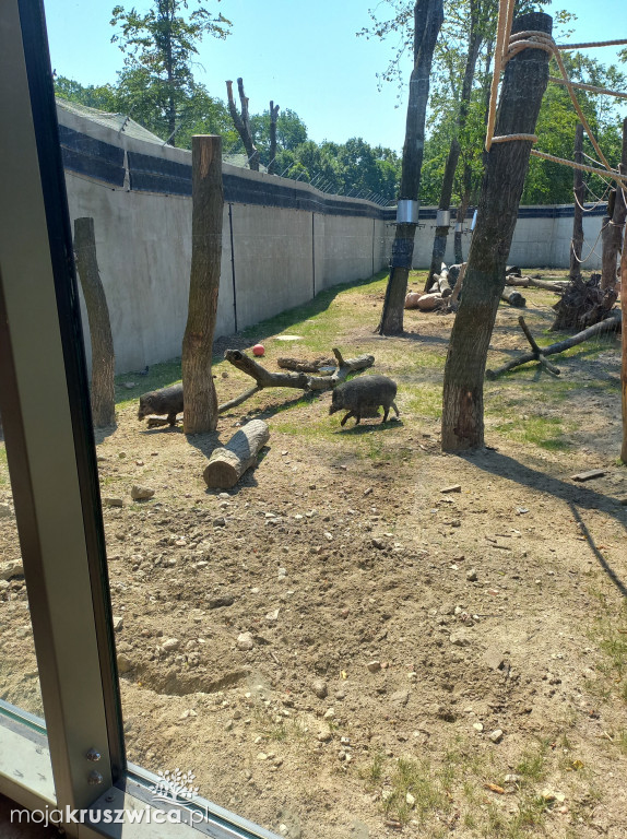 Chełmce: Dzieci wzięły udział w nietypowej wycieczce do Orientarium w Łodzi