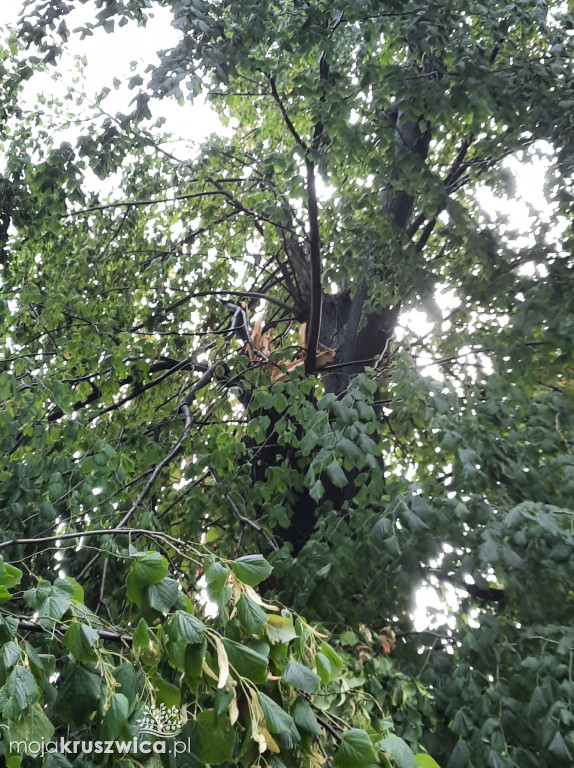Nawałnica nad Kruszwicą! Połowa miasta bez prądu [FOTO]
