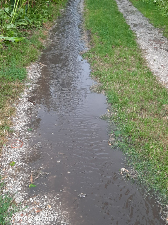 Nawałnica nad Kruszwicą! Połowa miasta bez prądu [FOTO]