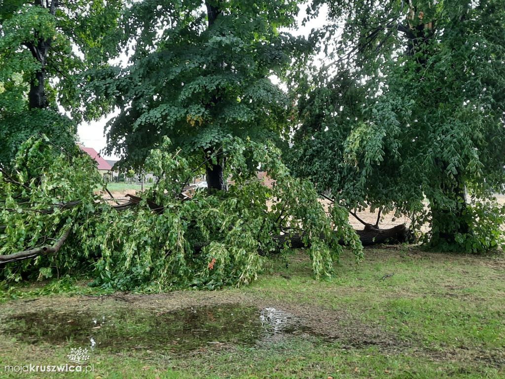 Nawałnica nad Kruszwicą! Połowa miasta bez prądu [FOTO]
