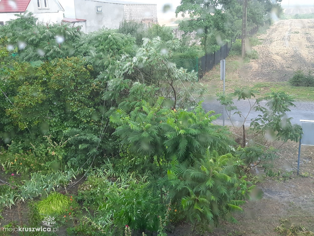 Nawałnica nad Kruszwicą! Połowa miasta bez prądu [FOTO]