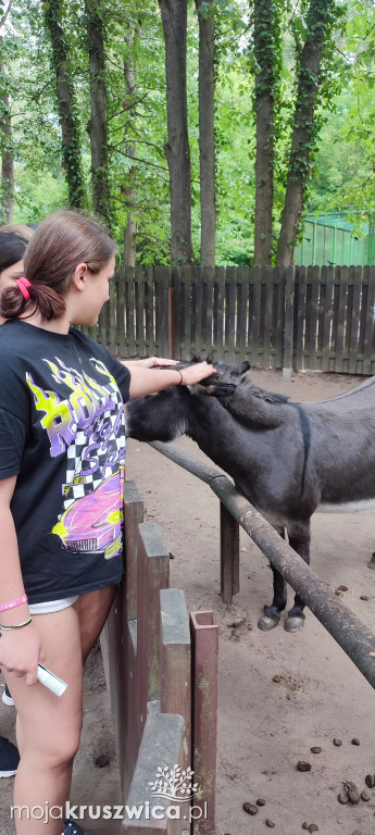 Z Kruszwicy do ZOO w Myślęcinku [ZDJĘCIA]