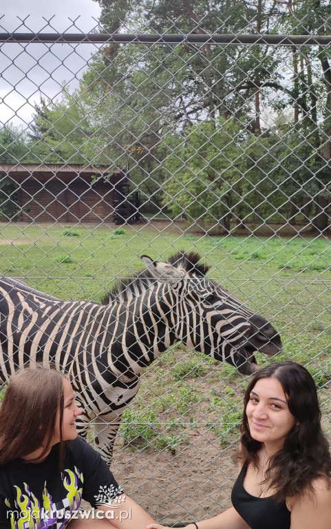 Z Kruszwicy do ZOO w Myślęcinku [ZDJĘCIA]