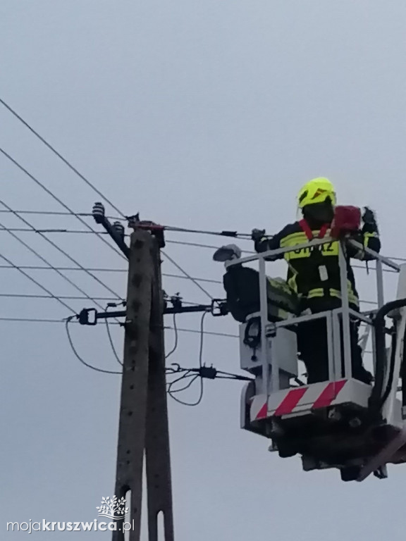  Kot utknął na słupie telegraficznym w Bachorcach. Interweniowali strażacy