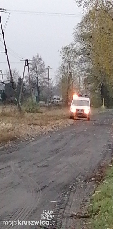  Kot utknął na słupie telegraficznym w Bachorcach. Interweniowali strażacy